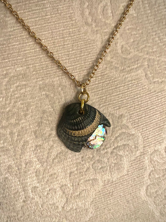 Peek-a-boo Iridescent Shell Necklace