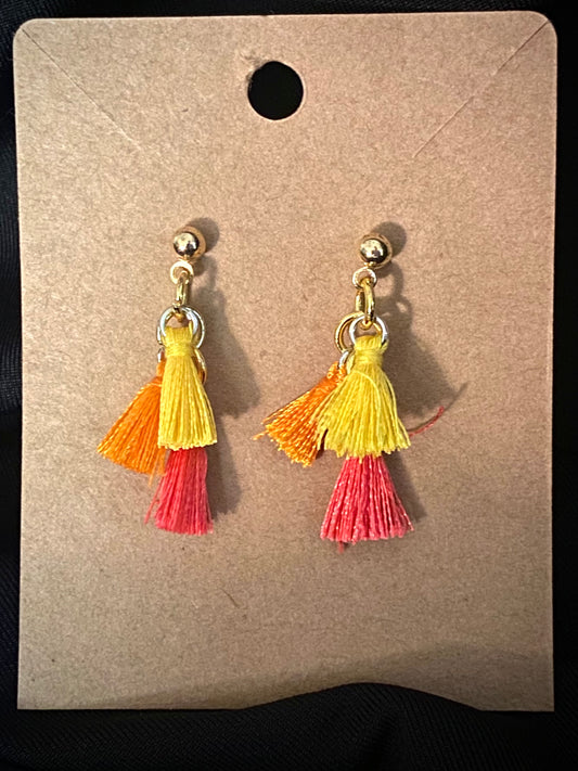 Warm Color Tassel Earrings