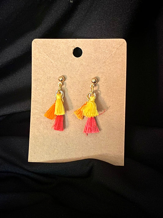 Warm Color Tassel Earrings