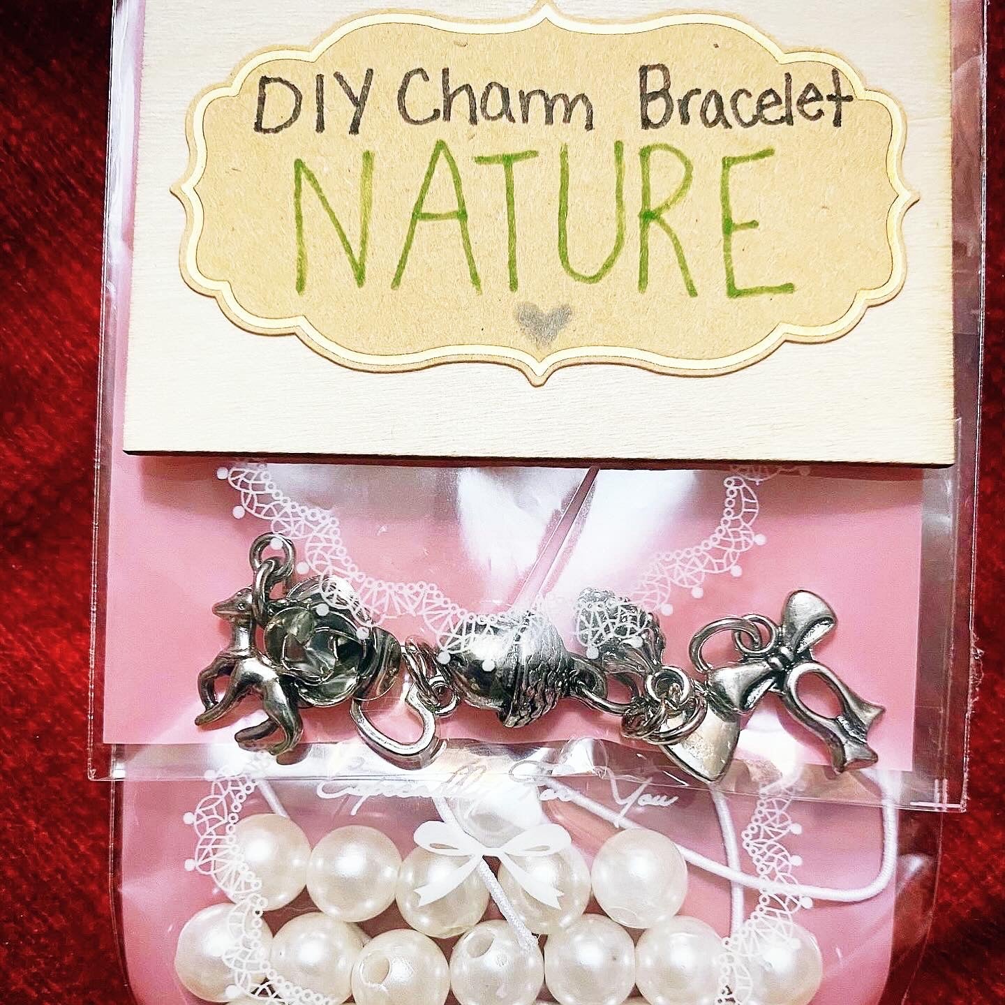 DIY Charm Bracelets