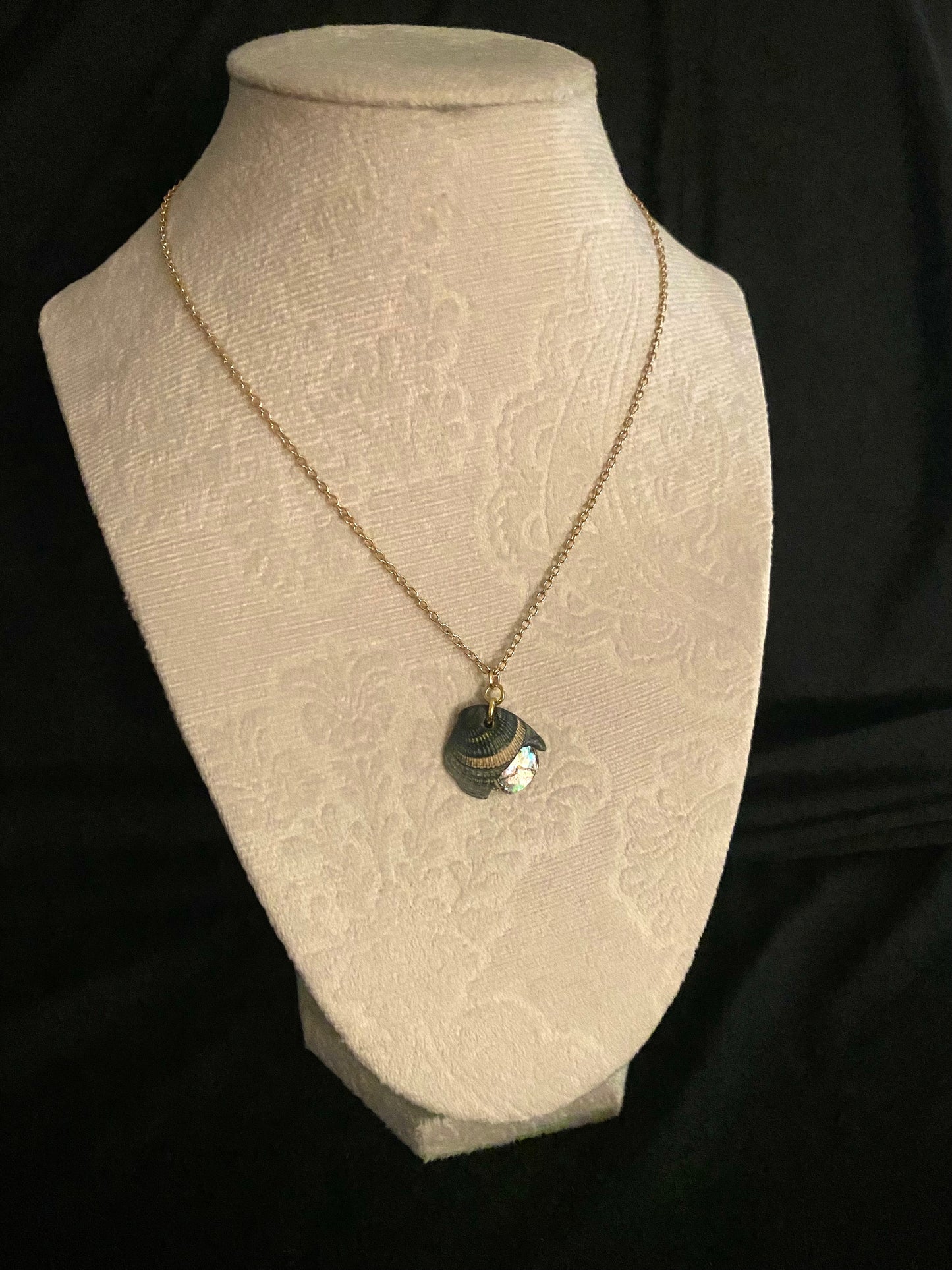 Peek-a-boo Iridescent Shell Necklace