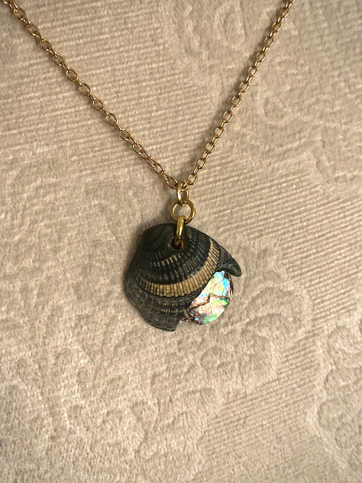Peek-a-boo Iridescent Shell Necklace